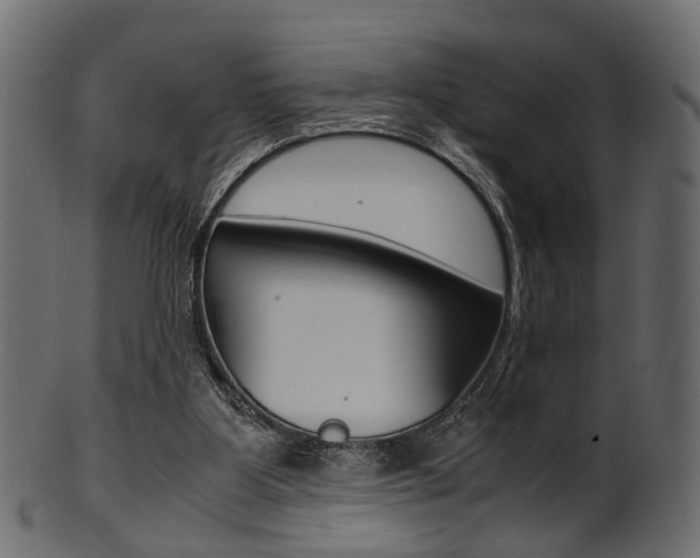 X0000102030107200807181015