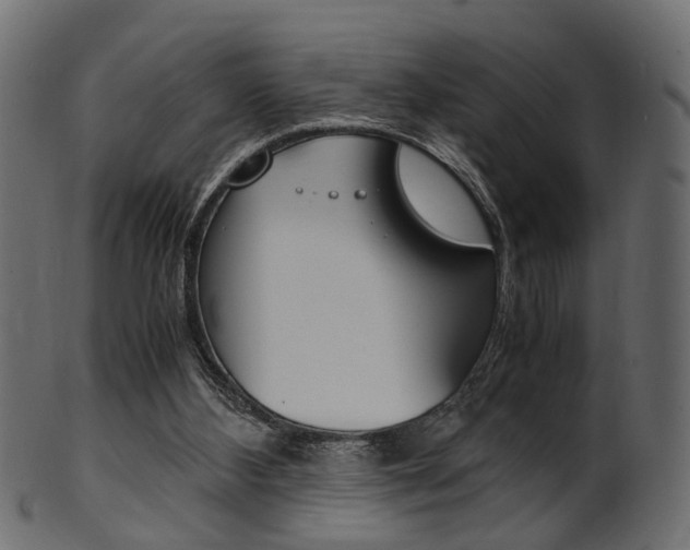 X0000102030108200807181015