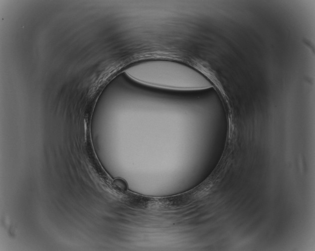 X0000102030109200807181015