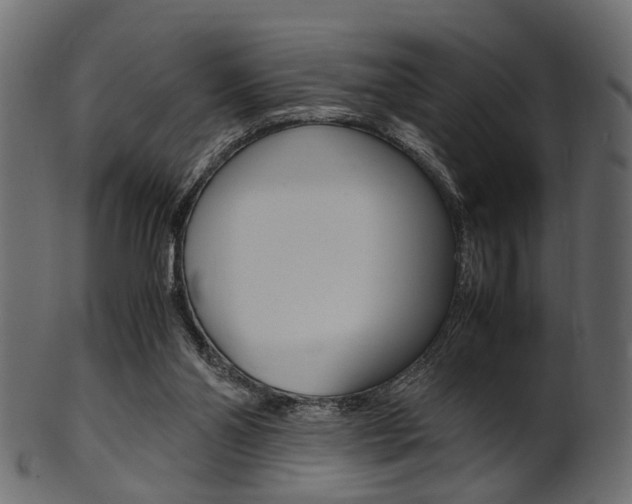 X0000102030110200807181015