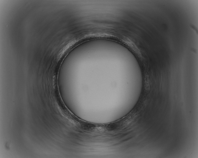 X0000102030111200807181015