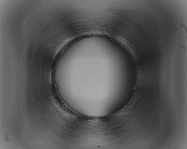 X0000102030112200807181015