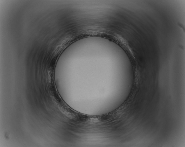 X0000102030114200807181015