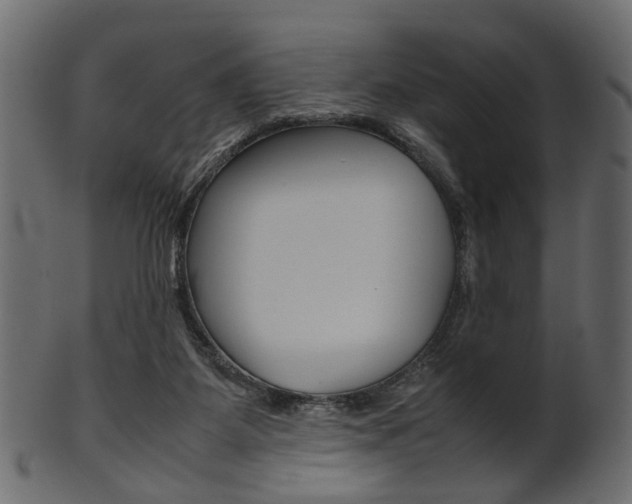 X0000102030115200807181015