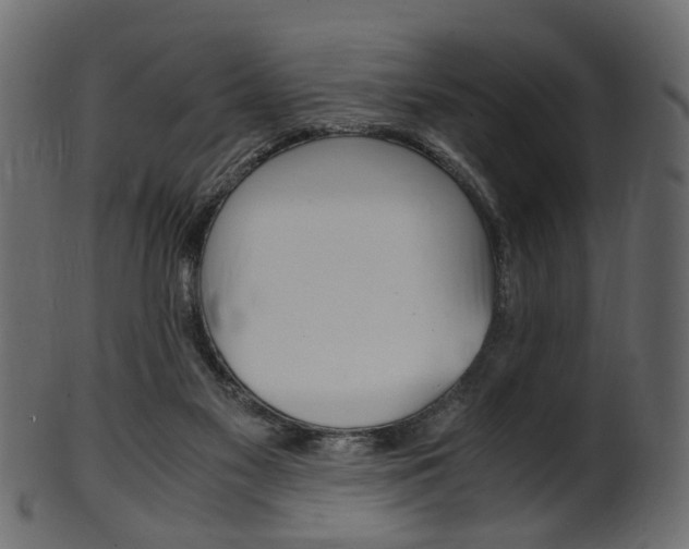 X0000102030117200807181015