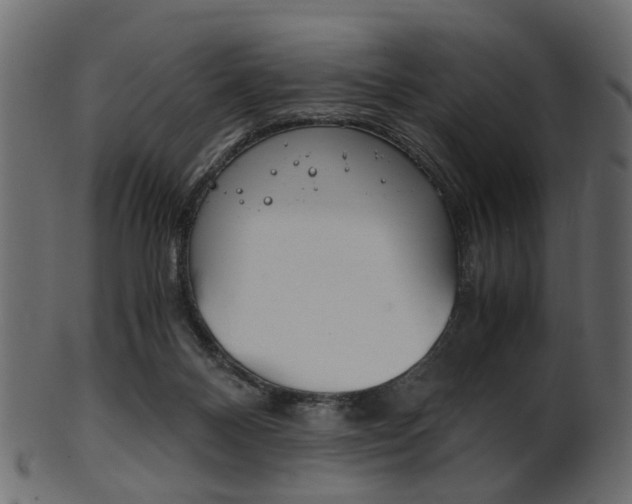 X0000102030120200807181015