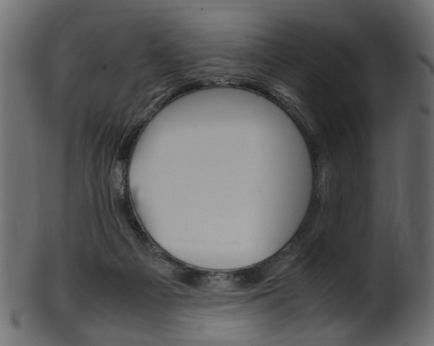 X0000102030121200807181015