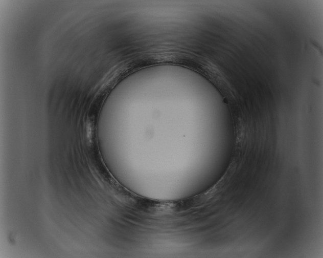 X0000102030124200807181015