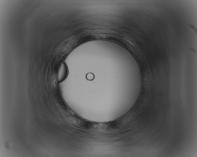 X0000102030125200807181015