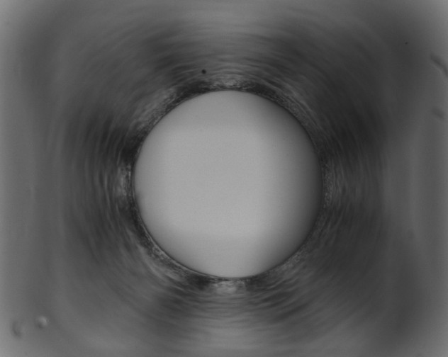 X0000102030126200807181015