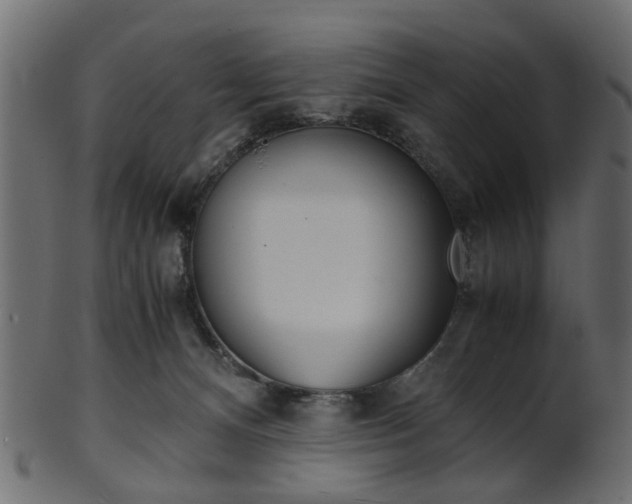 X0000102030128200807181015