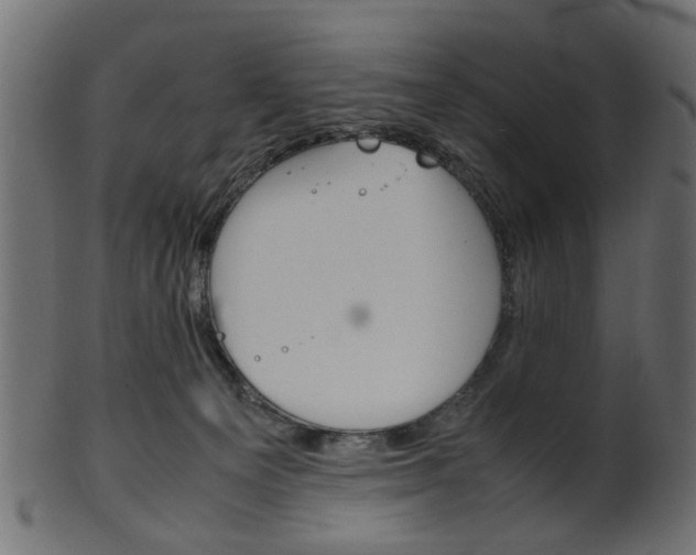 X0000102030129200807181015