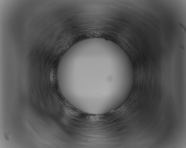 X0000102030134200807181015