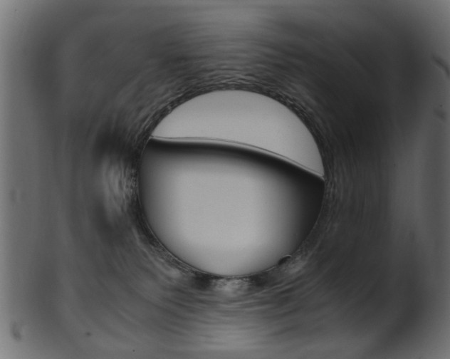 X0000102030135200807181015