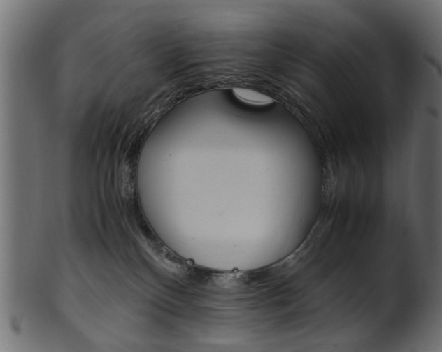 X0000102030136200807181015