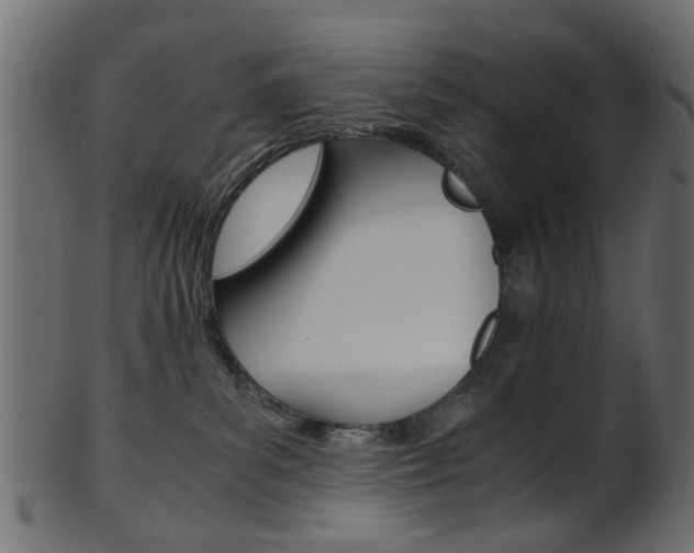 X0000102030139200807181015