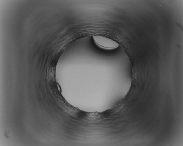 X0000102030141200807181015