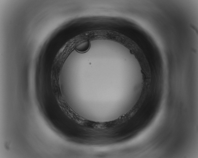 X0000102030143200807181015