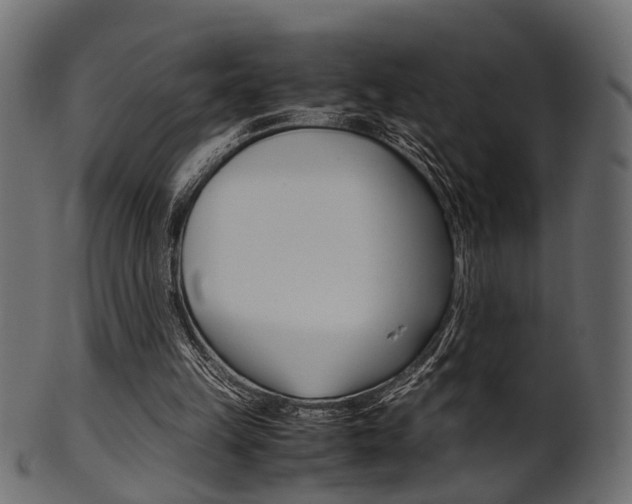 X0000102030149200807181014