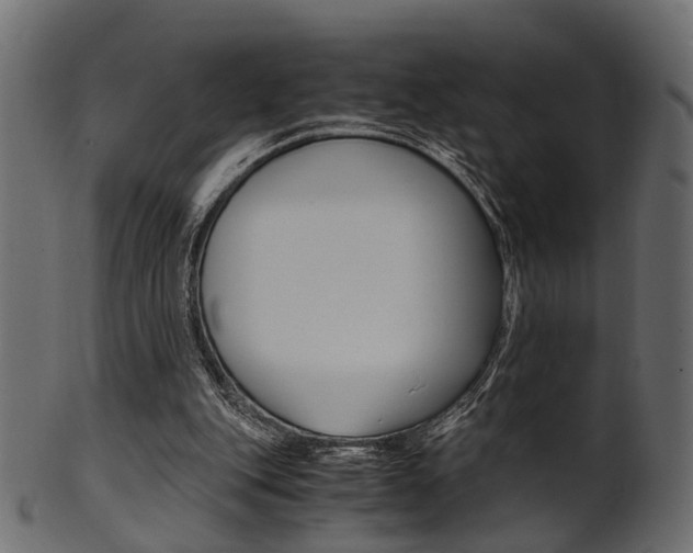 X0000102030151200807181014