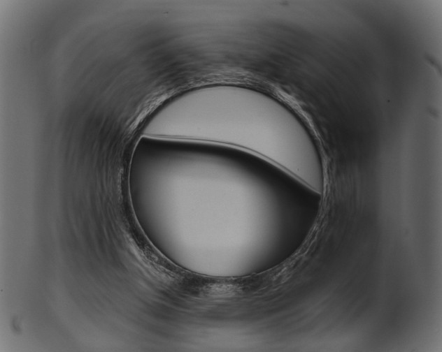 X0000102030154200807181014