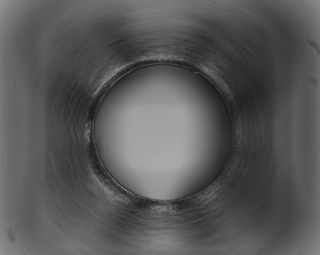 X0000102030160200807181014