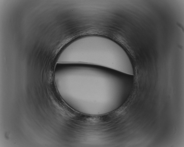 X0000102030164200807181014