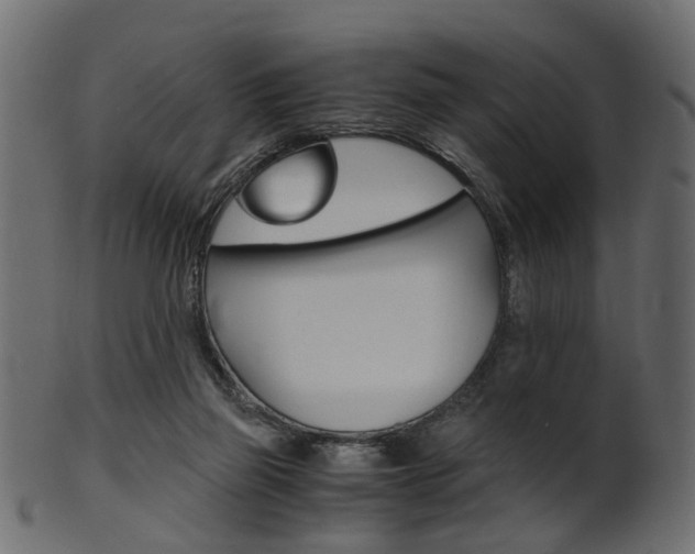 X0000102030165200807181014