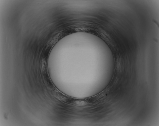 X0000102030169200807181015