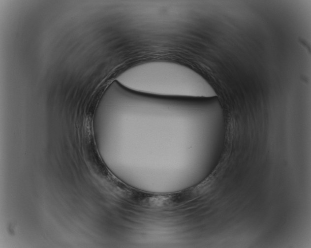 X0000102030172200807181015