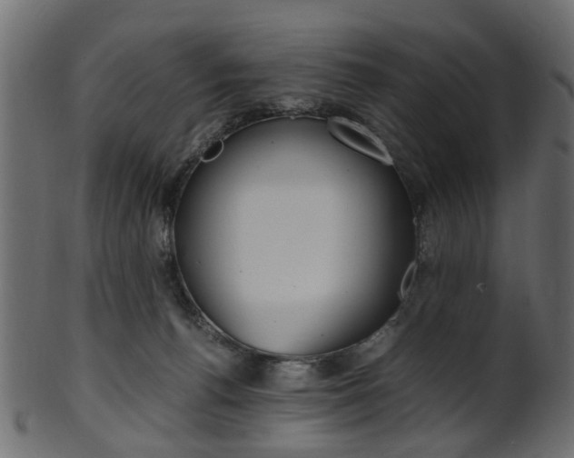 X0000102030176200807181015