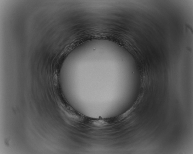 X0000102030183200807181015