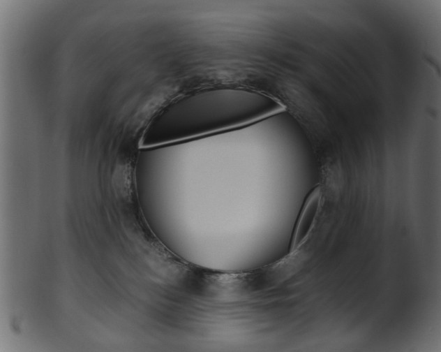 X0000102030184200807181015