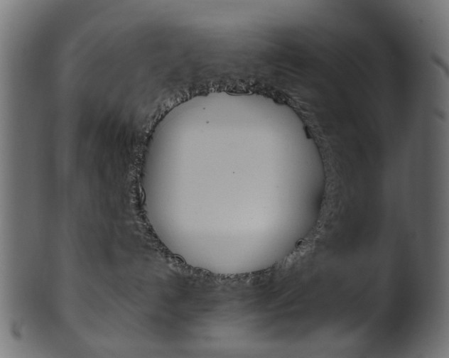 X0000102030192200807181015