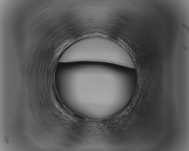 X0000102030193200807181014