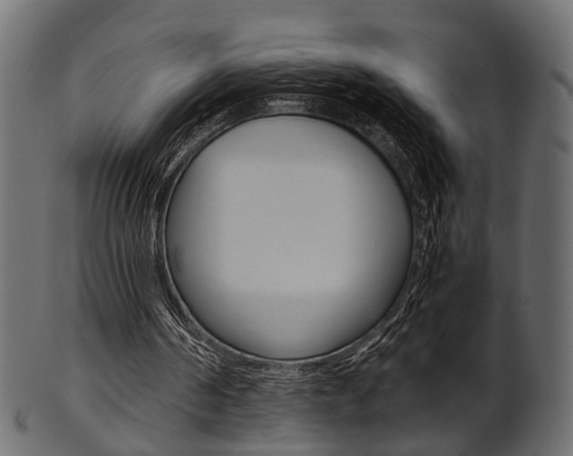 X0000102030194200807181014