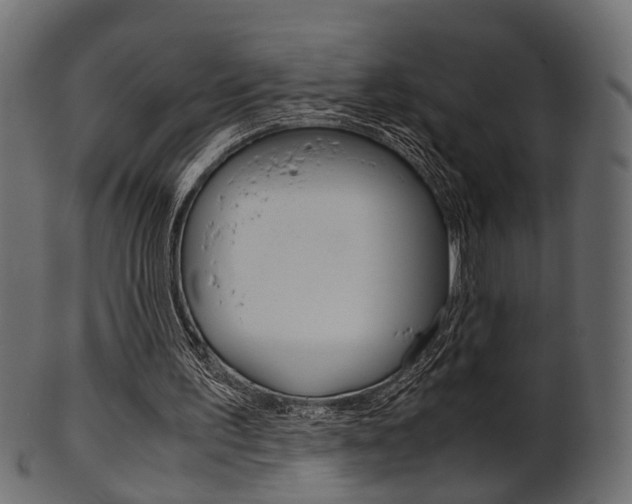 X0000102030195200807181014