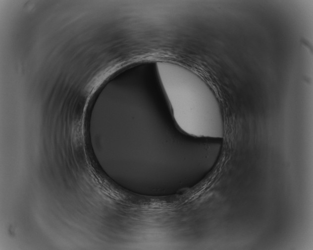 X0000102030196200807181014