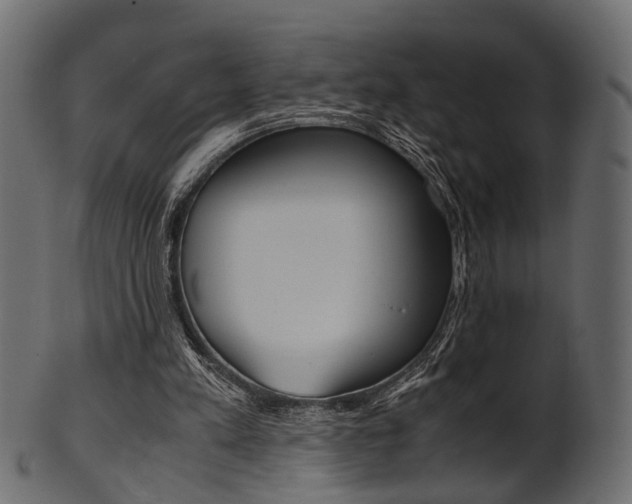 X0000102030197200807181014