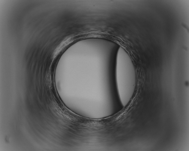 X0000102030198200807181014