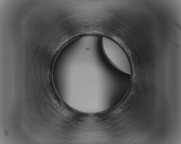 X0000102030201200807181014