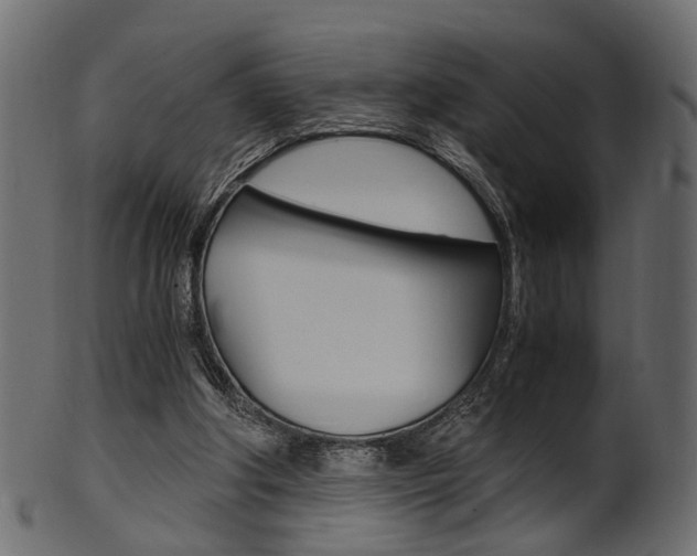 X0000102030202200807181014