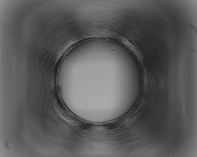 X0000102030203200807181014