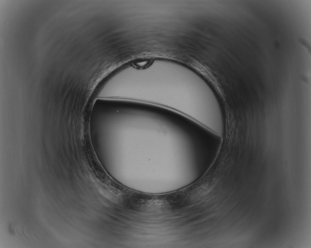 X0000102030204200807181014