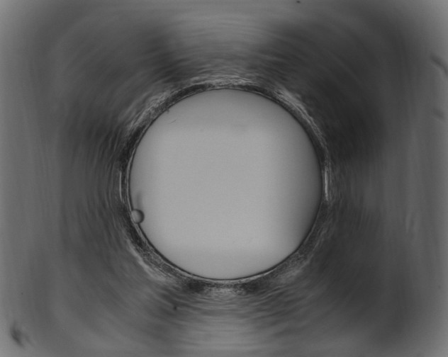 X0000102030205200807181014