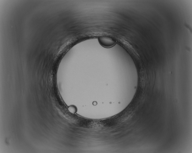 X0000102030207200807181014