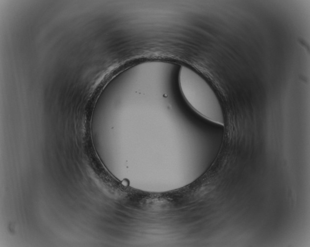 X0000102030208200807181014