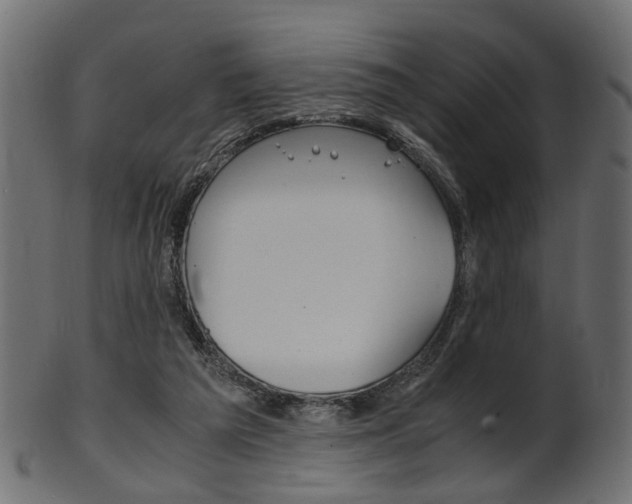 X0000102030209200807181014