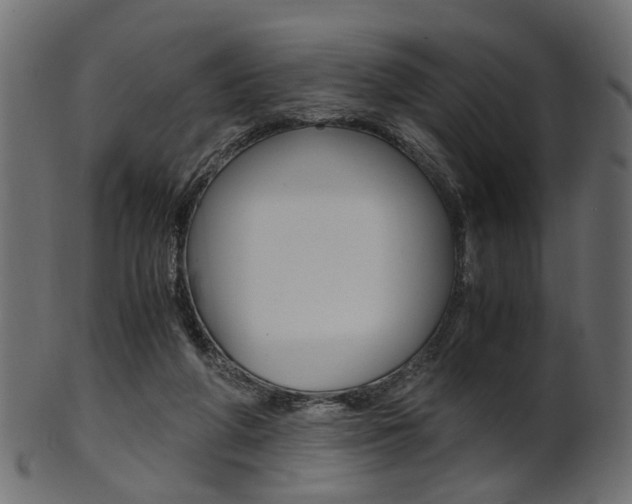 X0000102030210200807181014