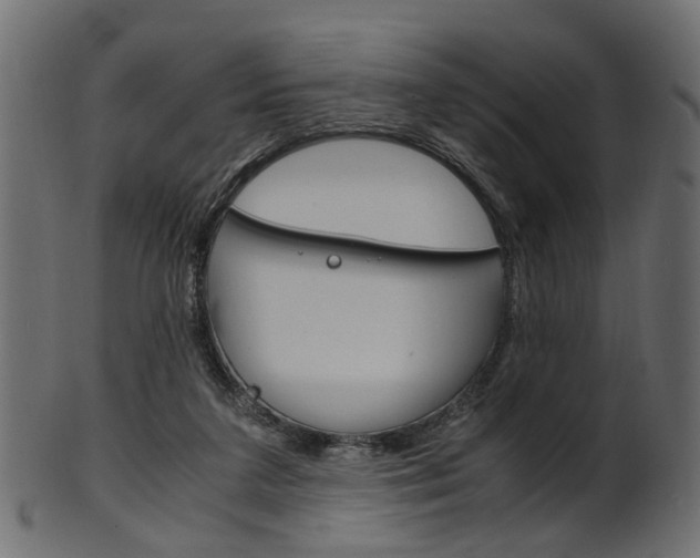 X0000102030211200807181014